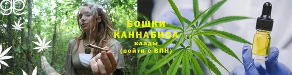 трава Абаза