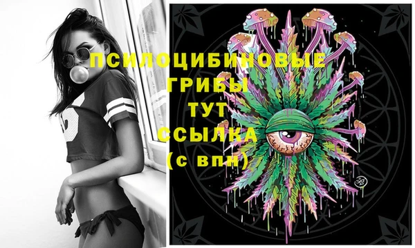 МДПВ Абинск