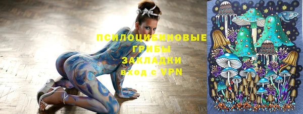 трава Абаза