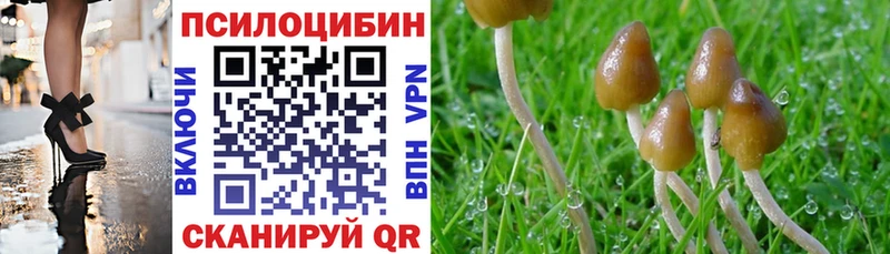 где продают   Пудож  hydra ONION  Галлюциногенные грибы GOLDEN TEACHER 