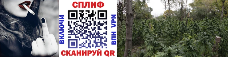 ОМГ ОМГ как войти  купить наркотик  Пудож  Бошки марихуана LSD WEED 